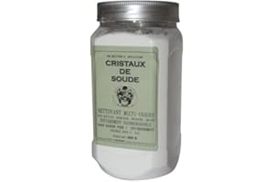 DOUSSELIN Cristaux de soude boîte 1000ml 600g