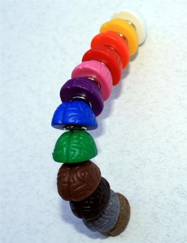 CRAZY BRAIN – Magnete / Magnet : Ideen finden mit Neodym-Magnet-Gehirn, für Tafel oder Kühlschrank! - 5