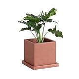 Dado que la planta con tiesto cabe perfectamente en esta maceta no hace falta usar más tierra. ¡Práctico!