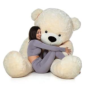 teddy bear latest