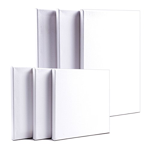 artdale 12 Pack Standard Edge 17 mm gerahmt blanko Pre gespannt Leinwände, dreifach grundiert weiß 20/30 cm quadratisch & 20 x 30/30 x 40 cm rechteckig Holz Rahmen 100% Baumwolle Student/Künstler Art Leinwand Öl Acryl & mehr - 3