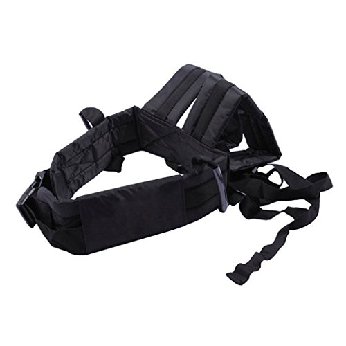 Motocicleta cinturón de seguridad niño motocicleta cinturón arnés de cinturón de correa de seguridad para niños accesorios de asiento para vehículo eléctrico, motos