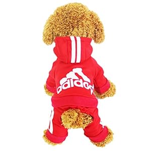 Chándal para perro/gato Lifewheel, chaqueta con capucha, ropa de exterior