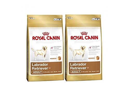 2-x-12kg-Royal-Canin-Labrador-Retriever-30-Multi-Buy-Adult-Dog-Food