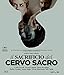 Il Sacrificio Del Cervo Sacro