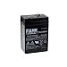 Produktbild Original FIAMM Bleiakku FG10451, Lead-Acid, 6V
