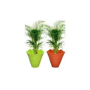 Inllex Self Watering Wall Planter -2PC Pack & Small Size - Indoor Outdoor Vertical Flower Pot - Wall Mounted Window Hanging Pot - Water Storage Space Design Container