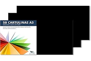 Raylu Paper – Papier Cartonné A3 Coloré, 50 Feuilles Cartonnées, Papier Epais de Couleur, pour l’Ecole, le Bureau, le Scrapbooking, les Activités Manuelles, 297 x 420 mm 180g/m² (Noir)
