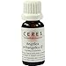 Produktbild Ceres Angelica archangelica Urtinktur 20 ml