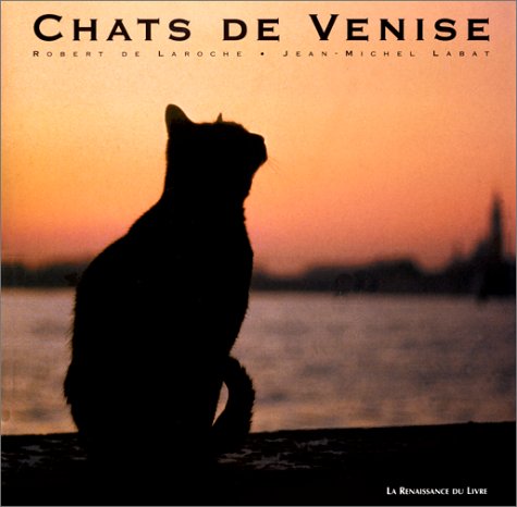 Download Chats de Venise Download Chats de Venise