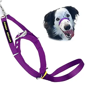 Canny Collar Dog Head Collar, No Pull Leash Training Head Harness, Easy to Fit Halter That Stops Pulling, Comfortable & Calm Control with Padded Collar