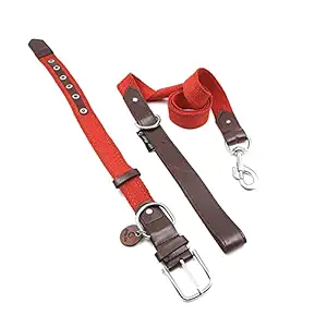 Goofy Tails X Design Chefz Eco-Luxe Collar and Leash Set | Dog Leash and Collar | Dog Collar Set for Medium Dogs | Reflective Dog Collar Set (Medium, Red)