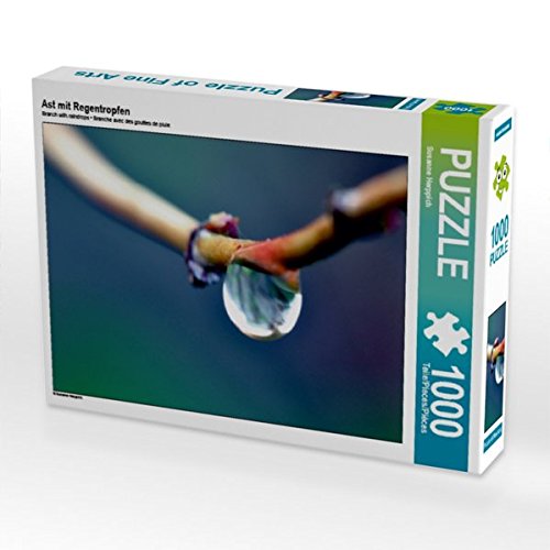 Ast mit Regentropfen 1000 Teile Puzzle quer (CALVENDO Natur)
