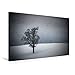 Produktbild Premium Textil-Leinwand 75 cm x 50 cm quer, WINTERIDYLLE Einsamer Baum I | Wandbild, Bild auf Keilrahmen, Fertigbild auf echter Leinwand, Leinwanddruck: Schneegestöber (CALVENDO Natur)