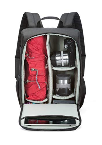 lowepro bp 150ne