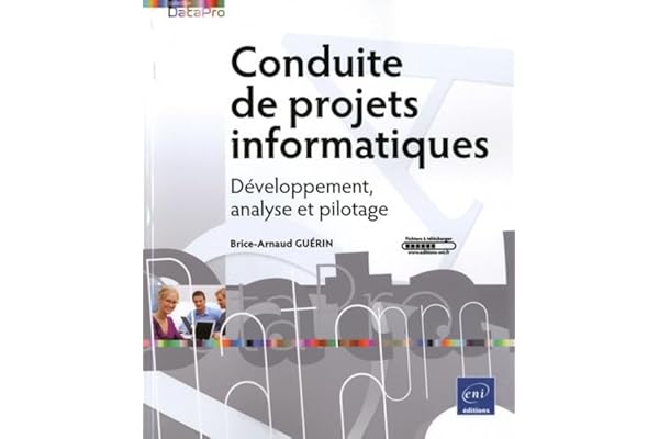 Conduite de projets informatiques: Développement, analyse et pilotage