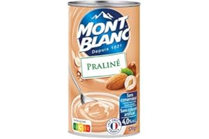 GENÉRIC MONT BLANC - Crème Dessert Au Praliné 570G - Quatre Articles