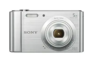 Sony W800/S 20.1 MP Digital Camera (Silver)