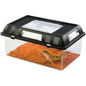 Exo Terra Brutbox M – Stapelbares Zuchtterrarium
