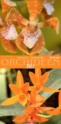 Orchideen 2011 / Orchids 2011 / Orchidées 2011