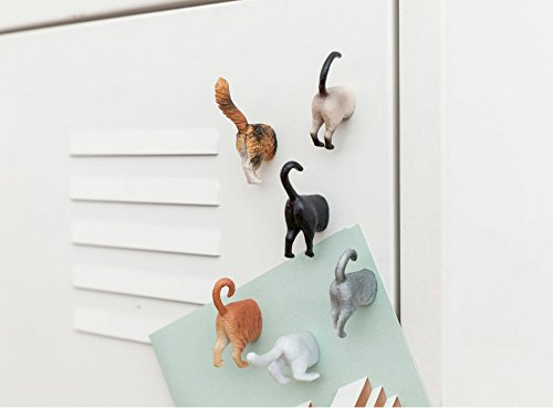 Kikkerland Cat Butt Magnete - 3