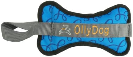 OllyDog The Olly Bone II Bumper Toy with Blue Loops, Small