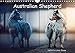Australian Shepherd - Vielfalt in einer Rasse (Wandkalender 2020 DIN A4 quer) by