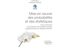 Mise en œuvre des probabilités et des statistiques - Cours, exercices et problèmes de synthèse corrigés, programmation en Matlab et Python