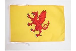 AZ FLAG Somerset New county Flag 18'' x 12'' cords - County of Somerset - England SMALL flags 30 x 45cm - Banner 18x12 in