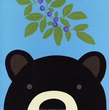Peek-a-Boo Bear Poster Print by Yuko Lau (12 x 12)