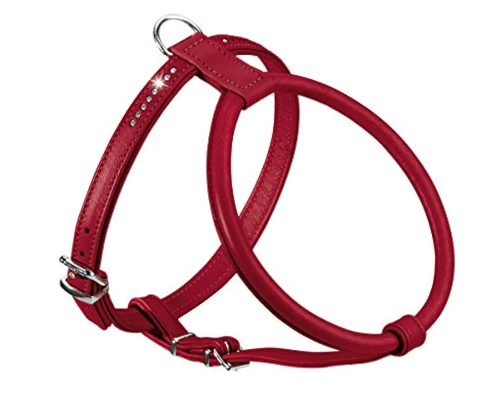 Шлейка Для Шпица Купить В Москве