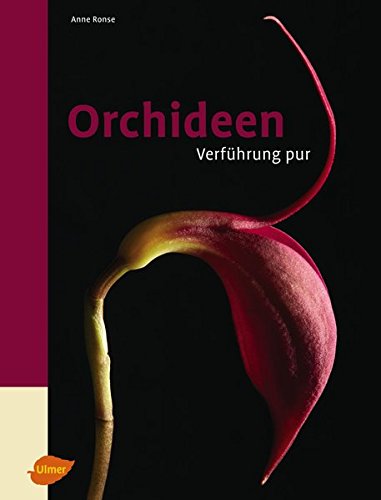 Preisvergleich Produktbild Orchideen - Verführung pur