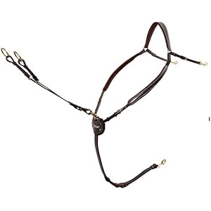 Vorderzeug Markus Ehning