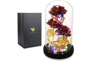 DREAM OF FLOWERS Cadeau Fete Des Meres,Rose Eternelle sous Cloche, La Belle et la Bête Rose en Verre avec Lumières LED Pine Base pour Fête des Mères Saint Valentin Décorations Anniversaire Mariage Maison Femme