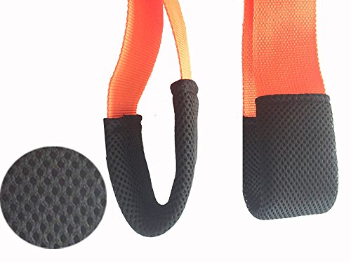 Move Seil Gürtel Heben und Lifting Straps für Möbel, TV, Betten, Kleiderschrank, schwere, Sperrige, Artikel, einfach Carry Möbel, Geräte, Matratzen, oder jede Aheavy Objekt - 4