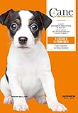 Image de Il Cane - IL CUCCIOLO E I PRIMI MESI (Il Cane - Amarlo, capirlo, educarlo)