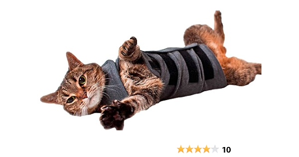 cat thunder vest