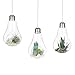 Produktbild Dayyly 3 Stück Glühbirnen Terrarium Glas Hängende europäische Kristallglasvase für Couchtisch Hochzeit Deko Blumentopf