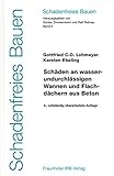 Image de Schadenfreies Bauen Band 2: Schäden an wasserundurchlässigen Wannen und Flachdächern au