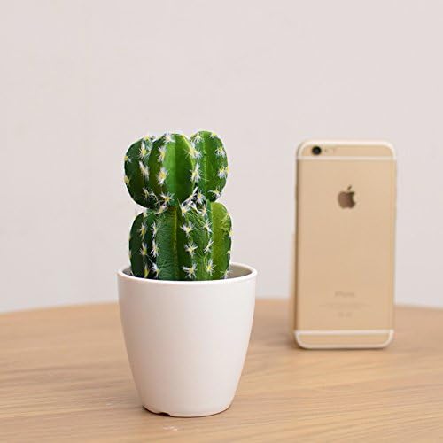 Interior living room decoration vase ornament nordic simulation plant potted plants green and fresh multi-meat cactus bonsai-D