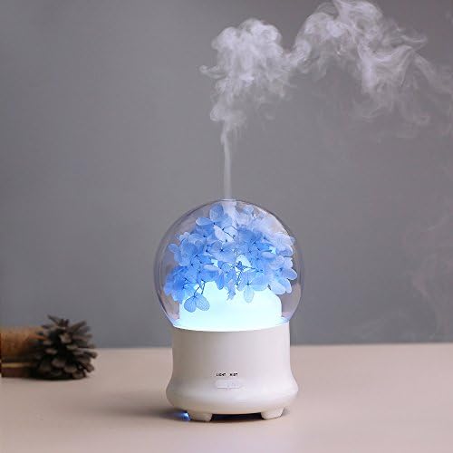 Bonanic Ultrasonic Aromatherapy Essential Oil Diffuser Aroma Diffuser Cool Mist Humidifier Preserved Fresh Flower Humidifier with Adjustable Mist Mode,7 Changing Color LED Waterless Auto Shut-off for Office Home Travel Nature Health & Beauty (Ligth Blue)