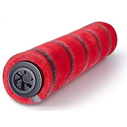 LongRong 1 brosse principale pour Proscenic P9, P9 GTS / I9 Aspirateur à main