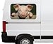 Produktbild Autoaufkleber Tier rosa Schwein Ferkel lustig Ohren Car Wohnmobil Auto tuning Digital Druck Fenster Sticker LKW Bild Aufkleber 21B1109, Größe 3D sticker:ca. 45cmx27cm
