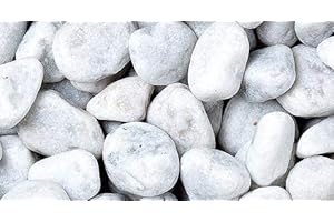 WUEFFE Ciottoli di Marmo Bianco Carrara - Sacchi da 25 kg - Sassi Bianchi Pietre Giardino (40/60 mm., 1 Sacco da kg.25)