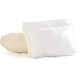 sealy pocket springback pillow