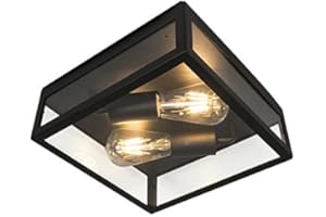 Qazqa - Industrialny plafon zewnętrzny czarny 2-źródła światła - Rotterdam - E27 | 2 światło - Stal nierdzewna - Odpowiednie dla Oświetlenie wewnętrzne,Oświetlenie zewnętrzne,Łazienka