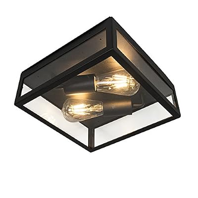 QAZQA Moderne Plafonnier extérieur carré moderne noir 2 lumières - Rotterdam Acier inoxydable Noir Carré/Jardin/Luminaire/Lumiere/Éclairage