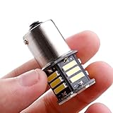 Diese einzigartige Glühlampe gibt Ihnen einen neuen Look