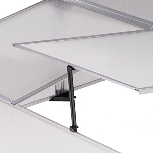 Rotfuchs Doppel Frühbeet Gewächshaus Treibhaus Tomaten Garten Pflanzen 119 x 100 x 40 cm - 6