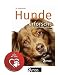 Produktbild Hunde erforscht - für die Praxis erklärt Gebundenes Buch + I Love My Dog Sticker by Collectix